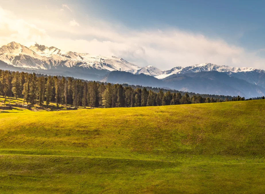 Lush-green-meadows-of-Yusmarg